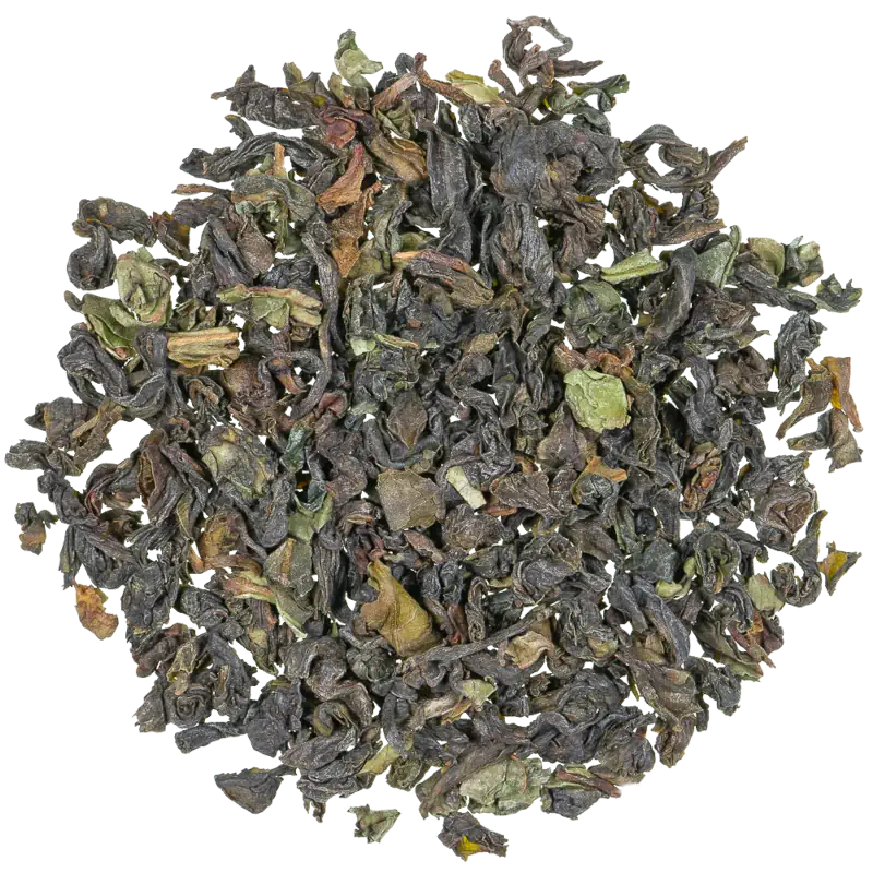 Darjeeling Kugelblatt BPS Singtom